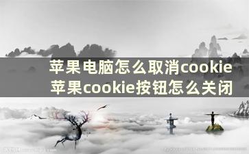 苹果电脑怎么取消cookie 苹果cookie按钮怎么关闭